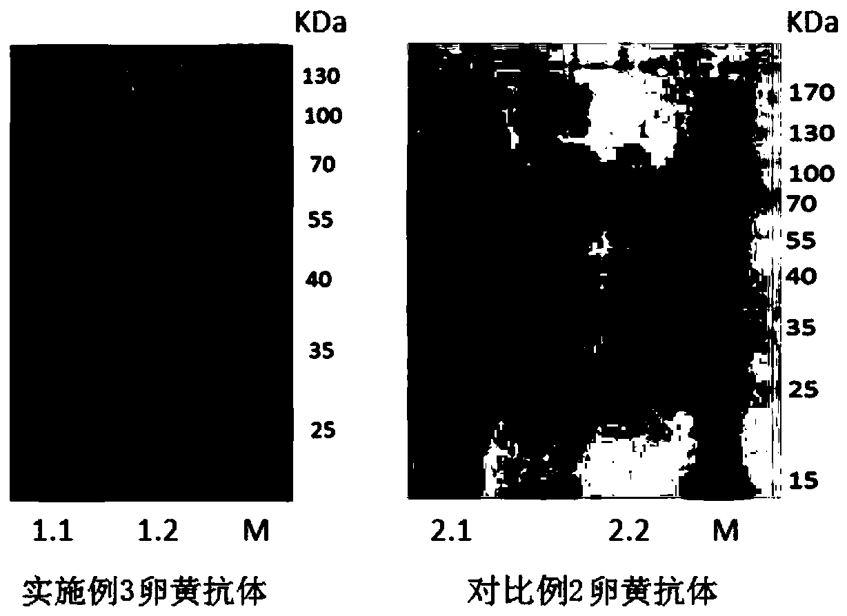 Composite specific yolk antibody oral cavity pressurized spray and preparation method thereof