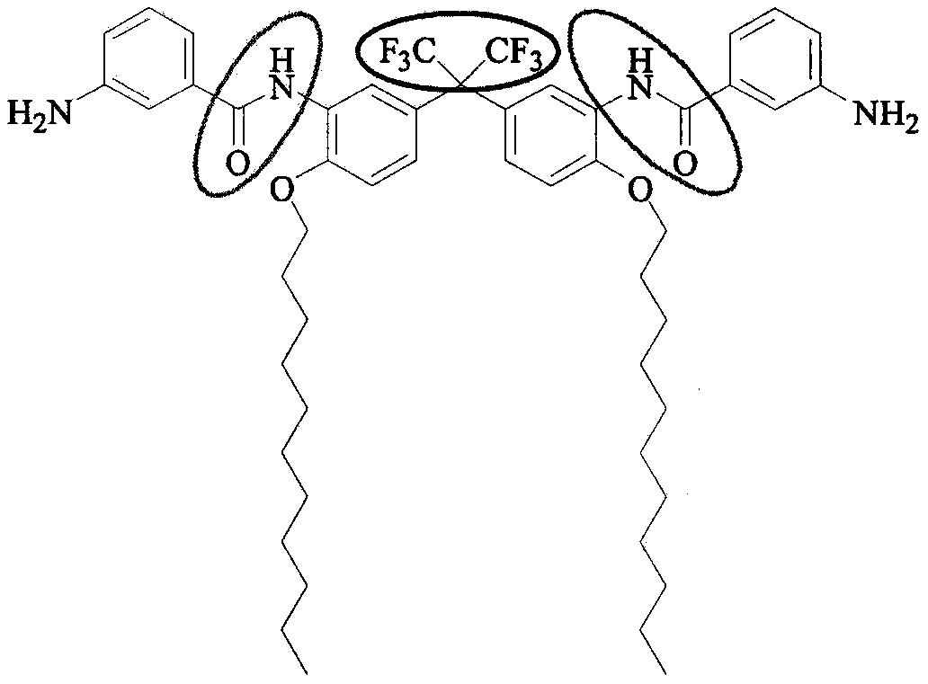 Preparation method of C11 side chain substituted fluorine-containing diamine monomer