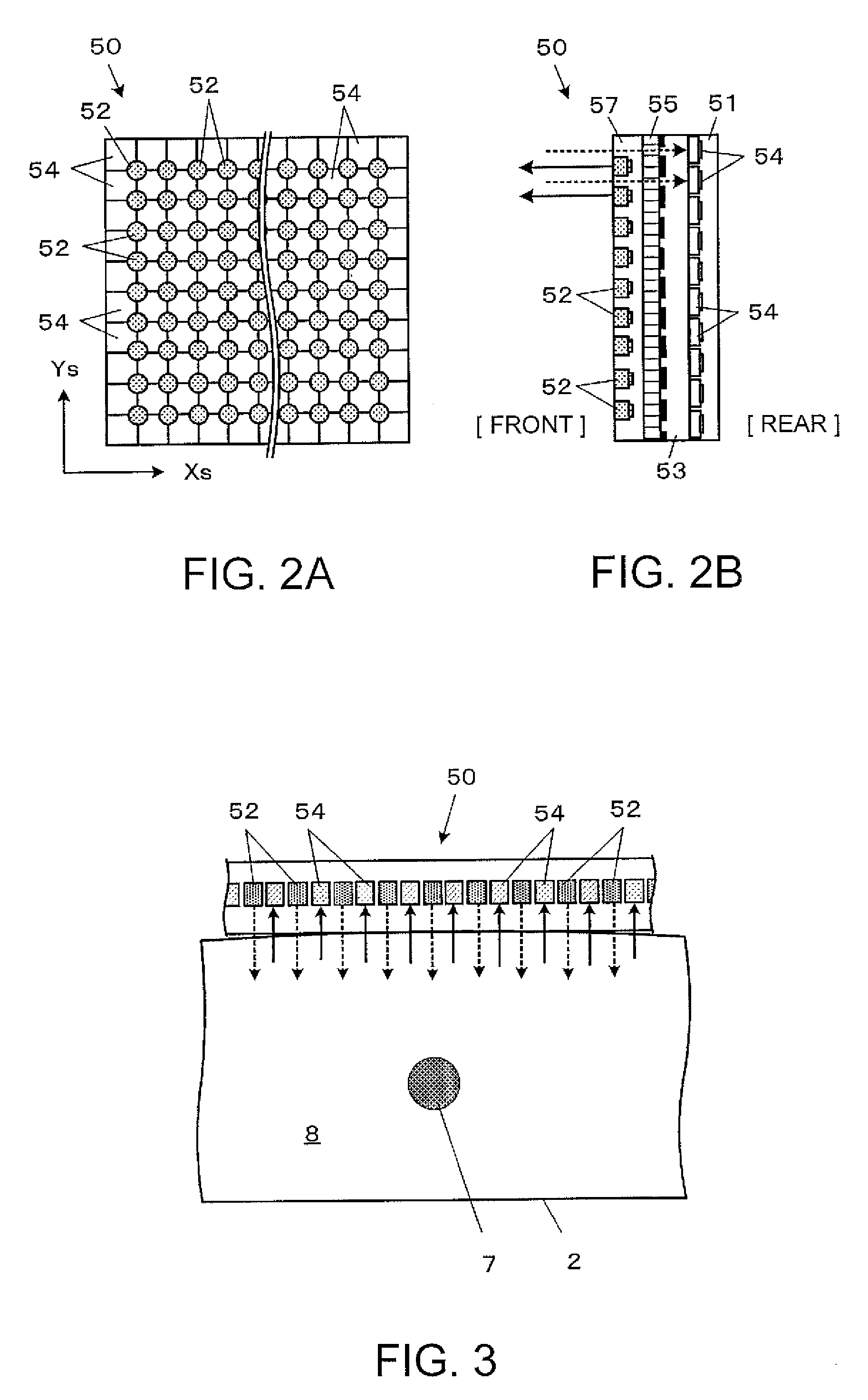 Biological information processing apparatus, and biological information processing method