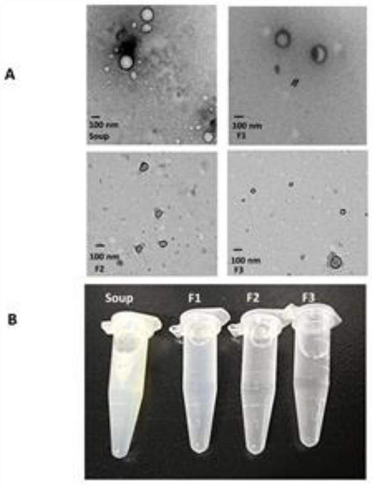 A separation method of functional nanoparticles in aquatic shellfish cooking soup