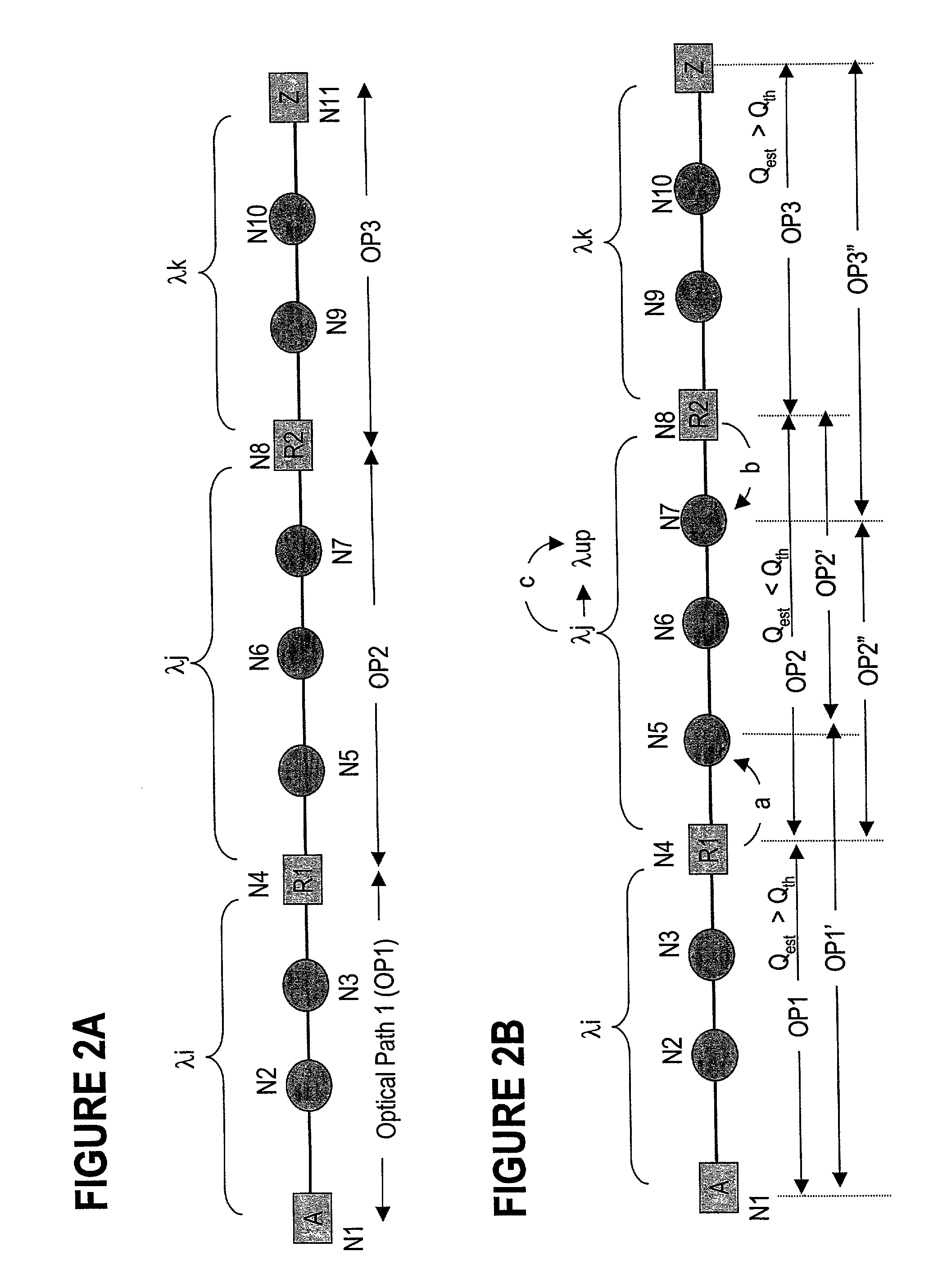 Dynamic assignment of wavelengths in agile photonic networks