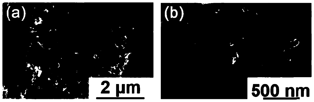 Light-weight broadband electromagnetic wave absorbing material and preparation method thereof