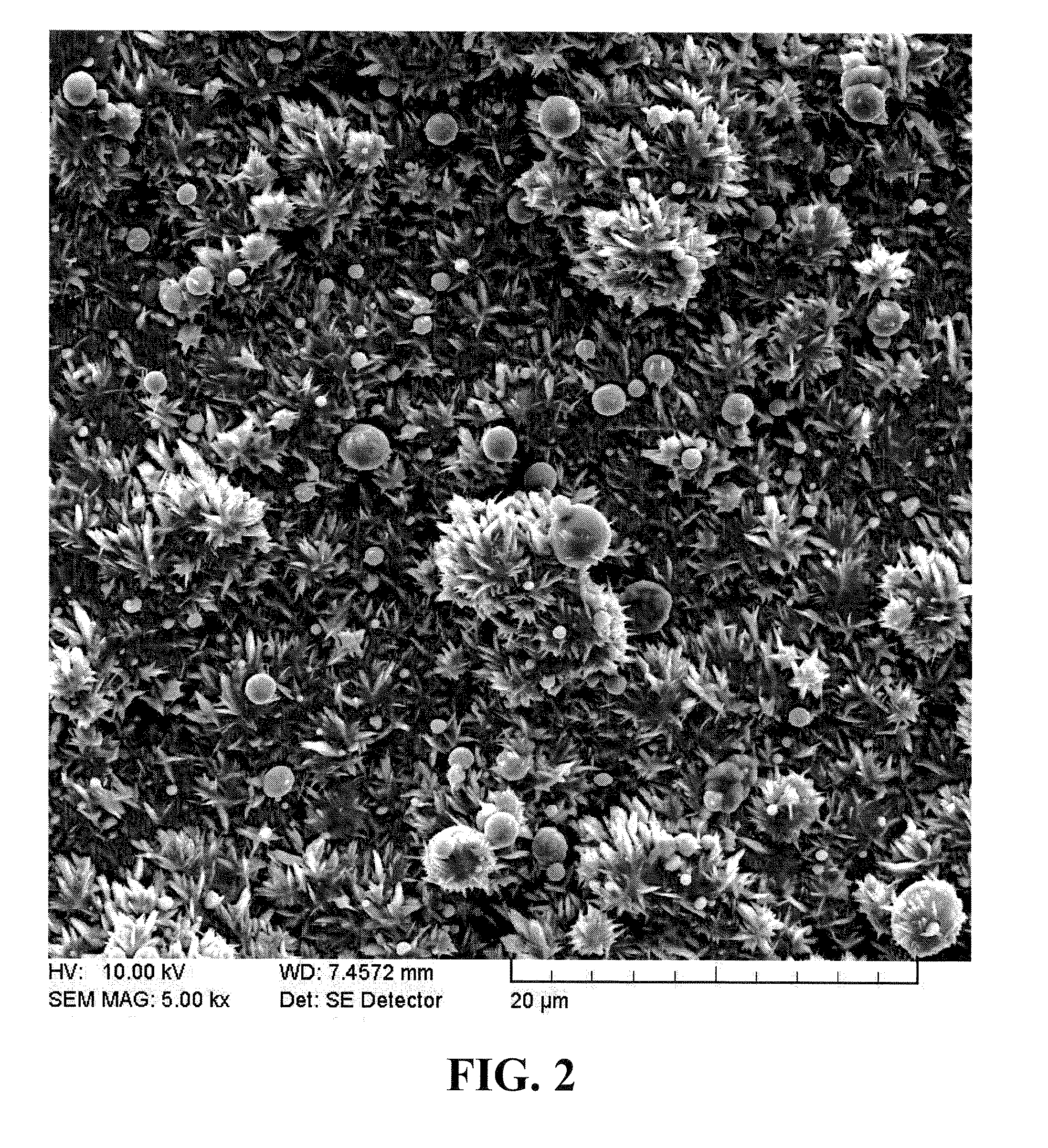 Spinulose metal surfaces