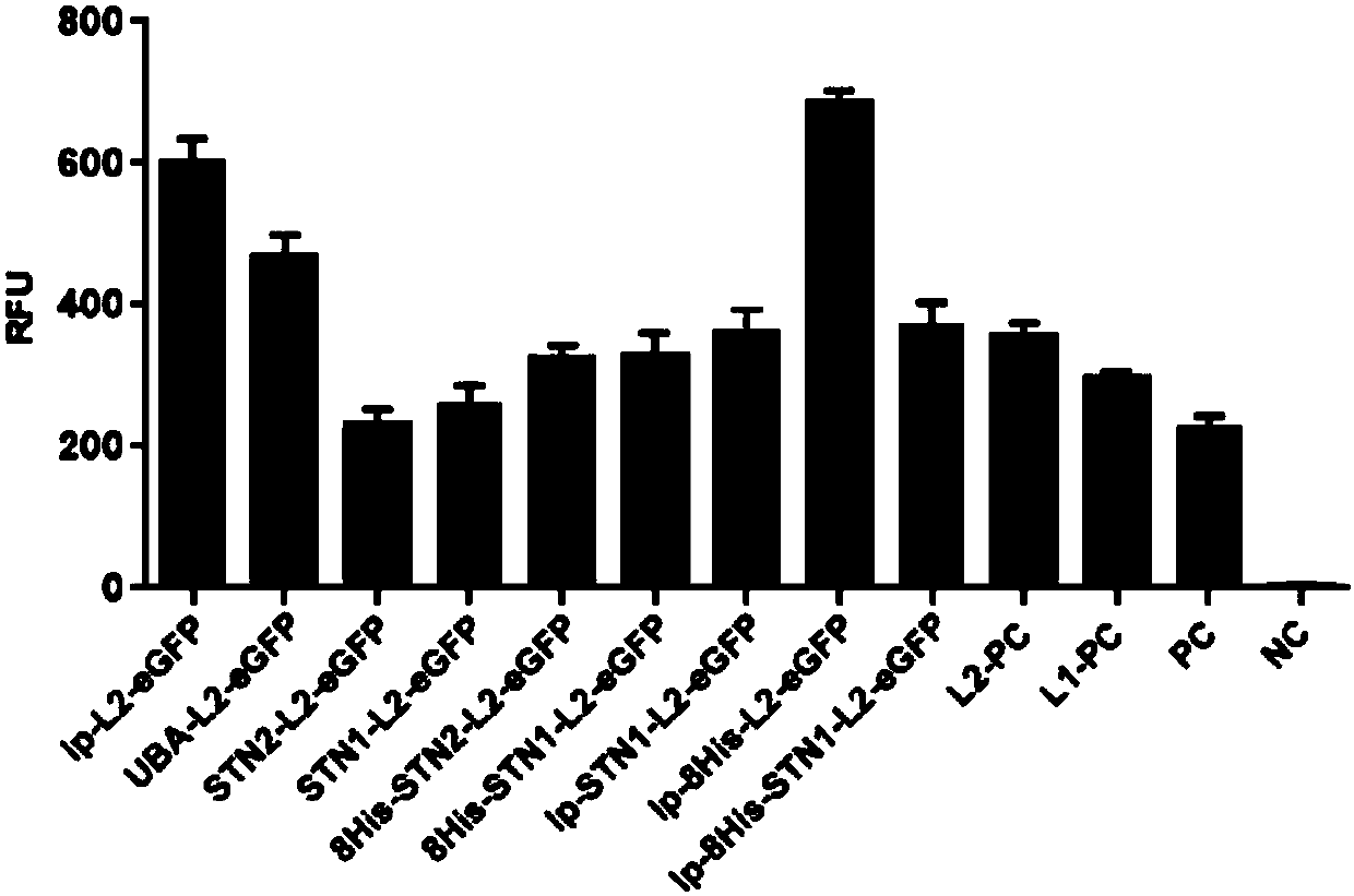 DNA sequence with multi-tag series connection and application of DNA sequence to protein expression and purification system