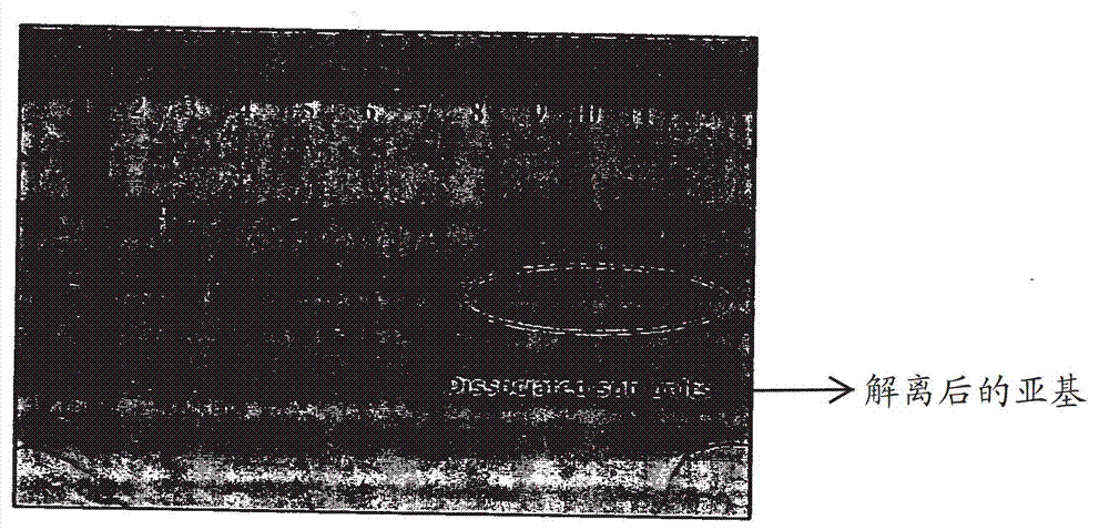 Liquid formulation of follicle stimulating hormone