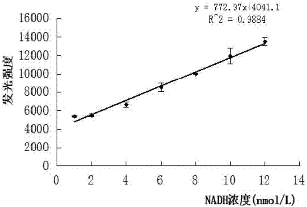 Photobacterium leiognathi luciferase, gene coding photobacterium leiognathi luciferase, and applications of photobacterium leiognathi luciferase