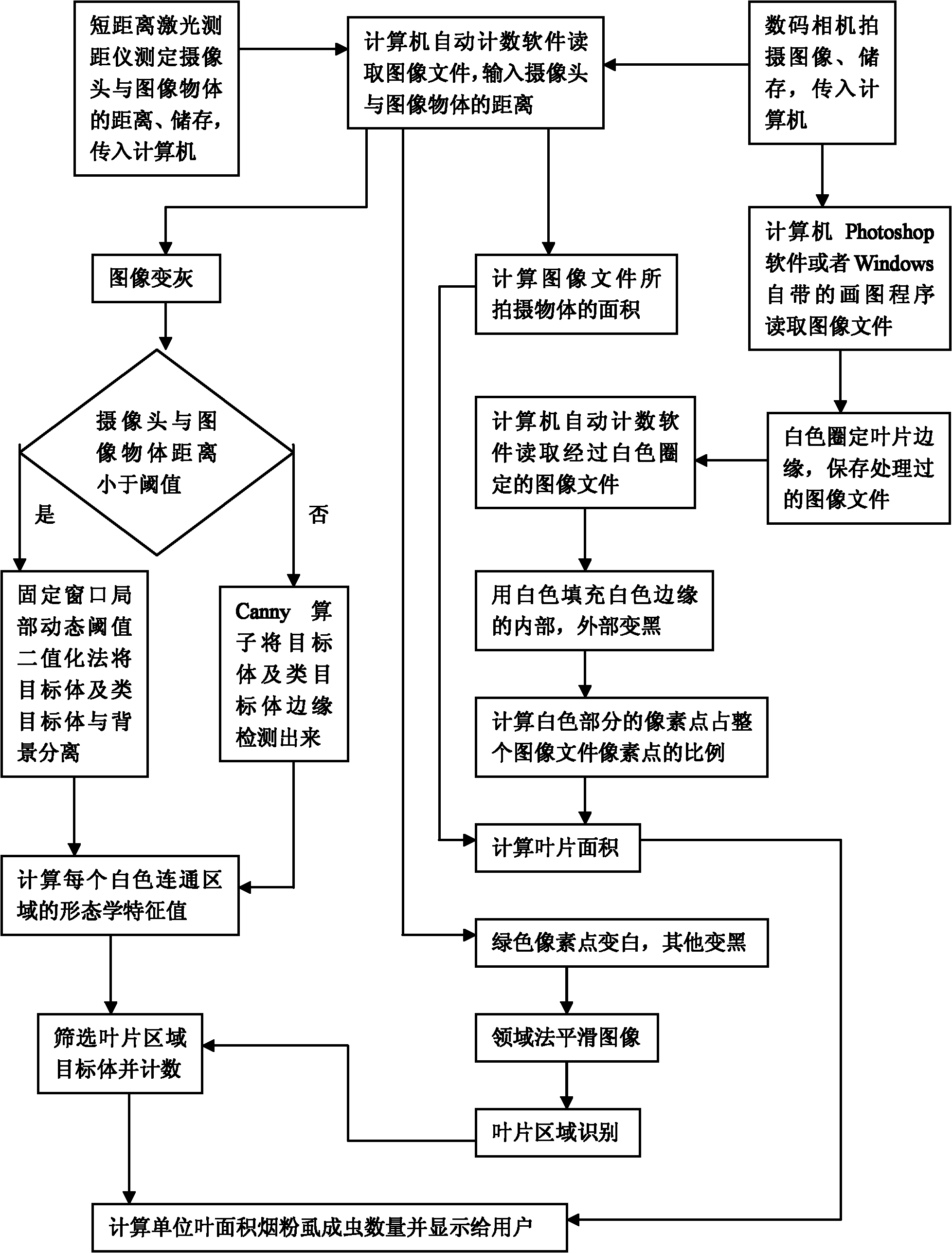 Automatic counting system for density of Bemisia tabaci adults