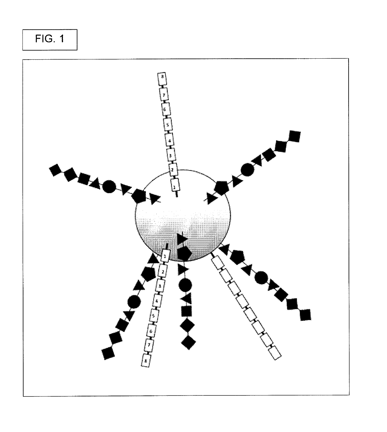 Oligonucleotide encoded chemical libraries