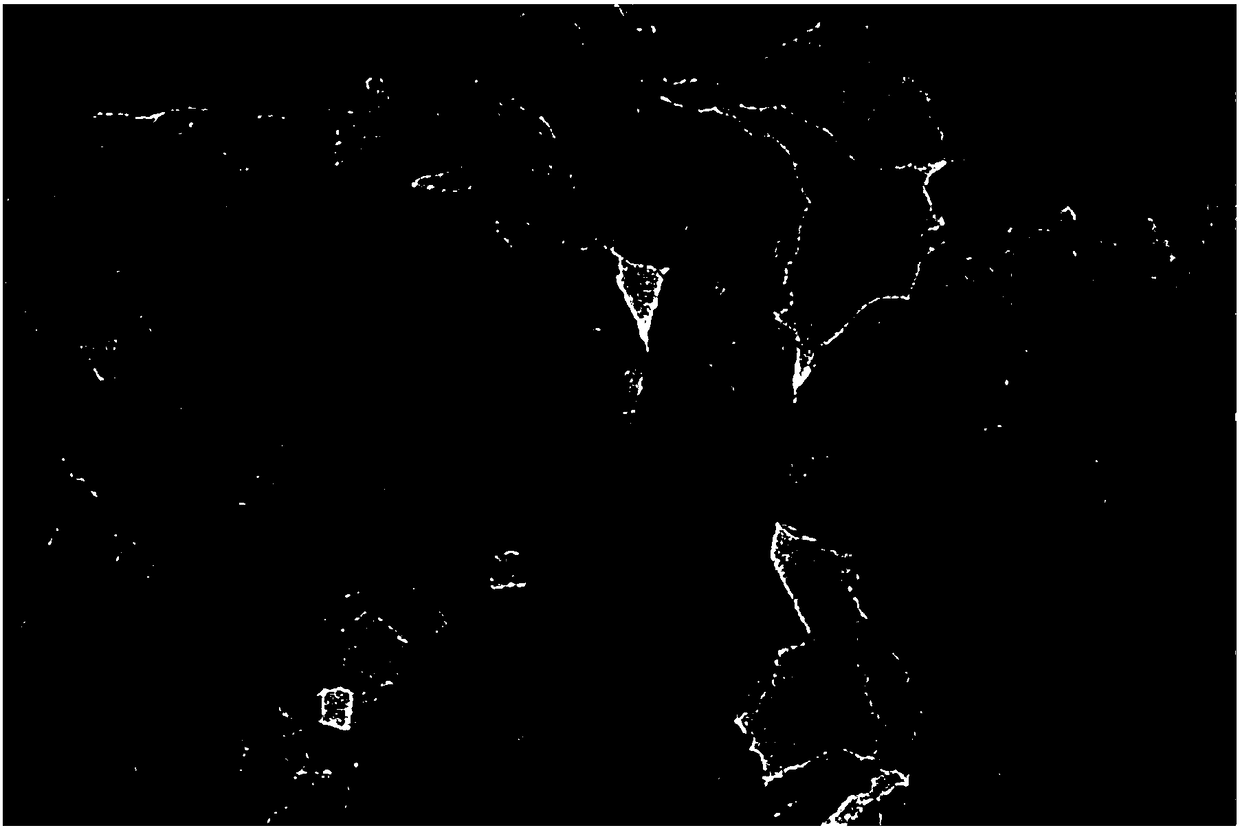 Graphene-polyaniline composite heavy-duty anti-corrosion coating and preparation method thereof