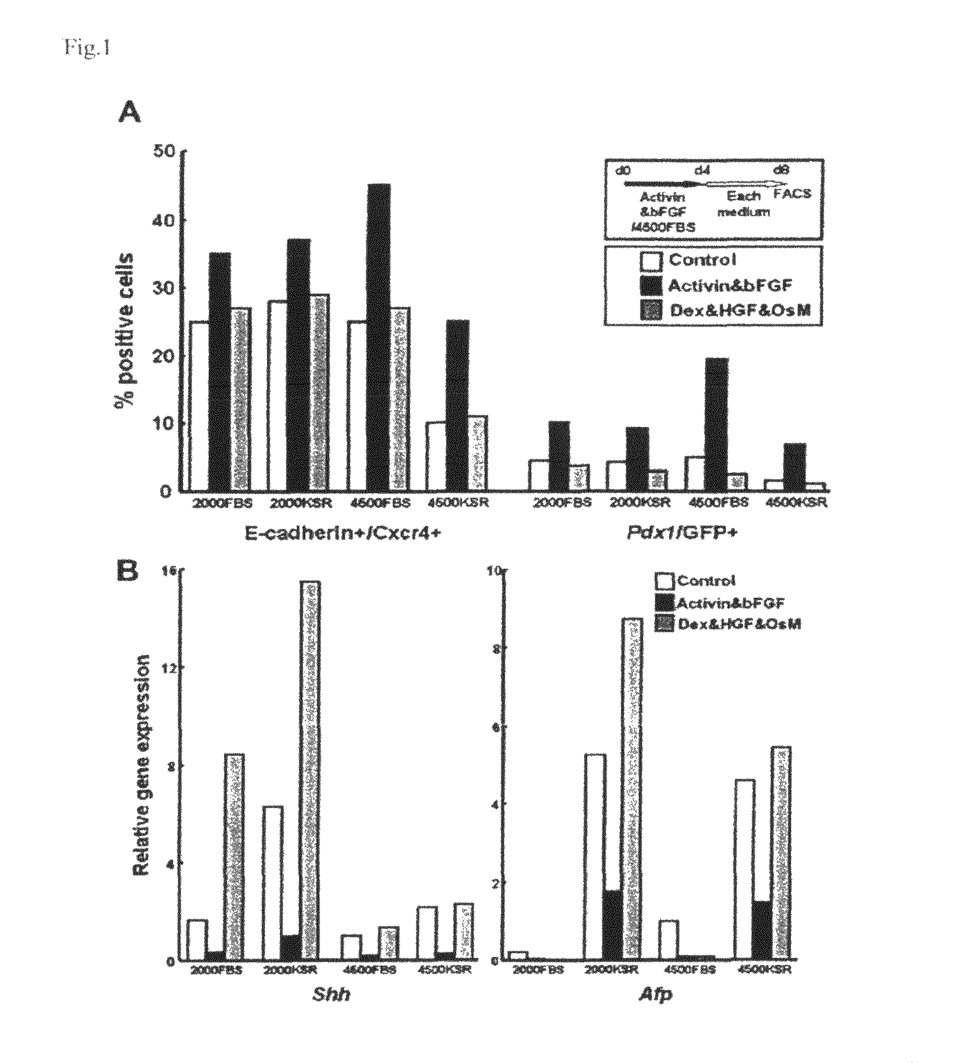 Method for induction of differentiation of ES cell