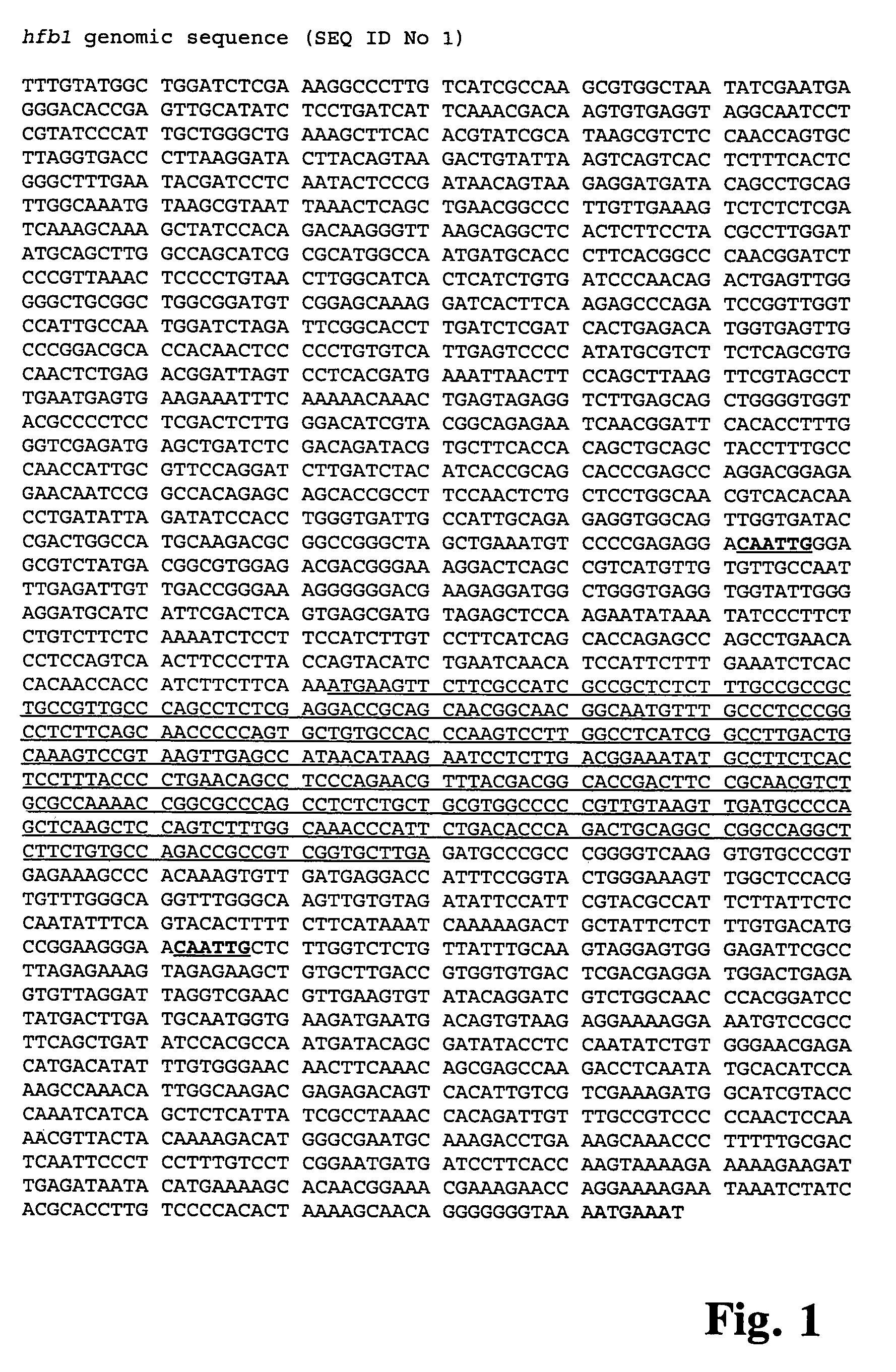 Method for decreasing the foam formation during cultivation of a microorganism