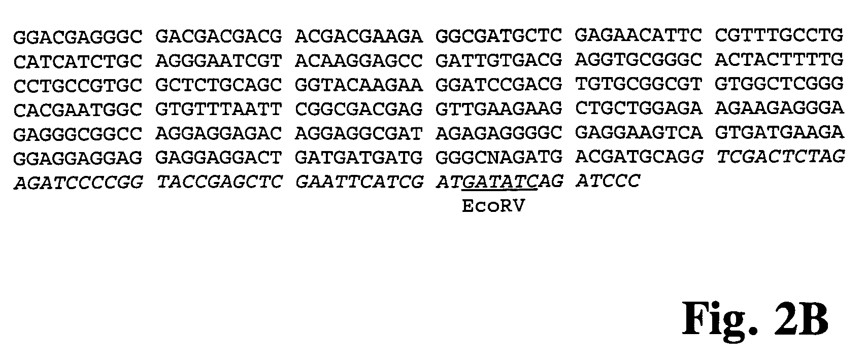 Method for decreasing the foam formation during cultivation of a microorganism