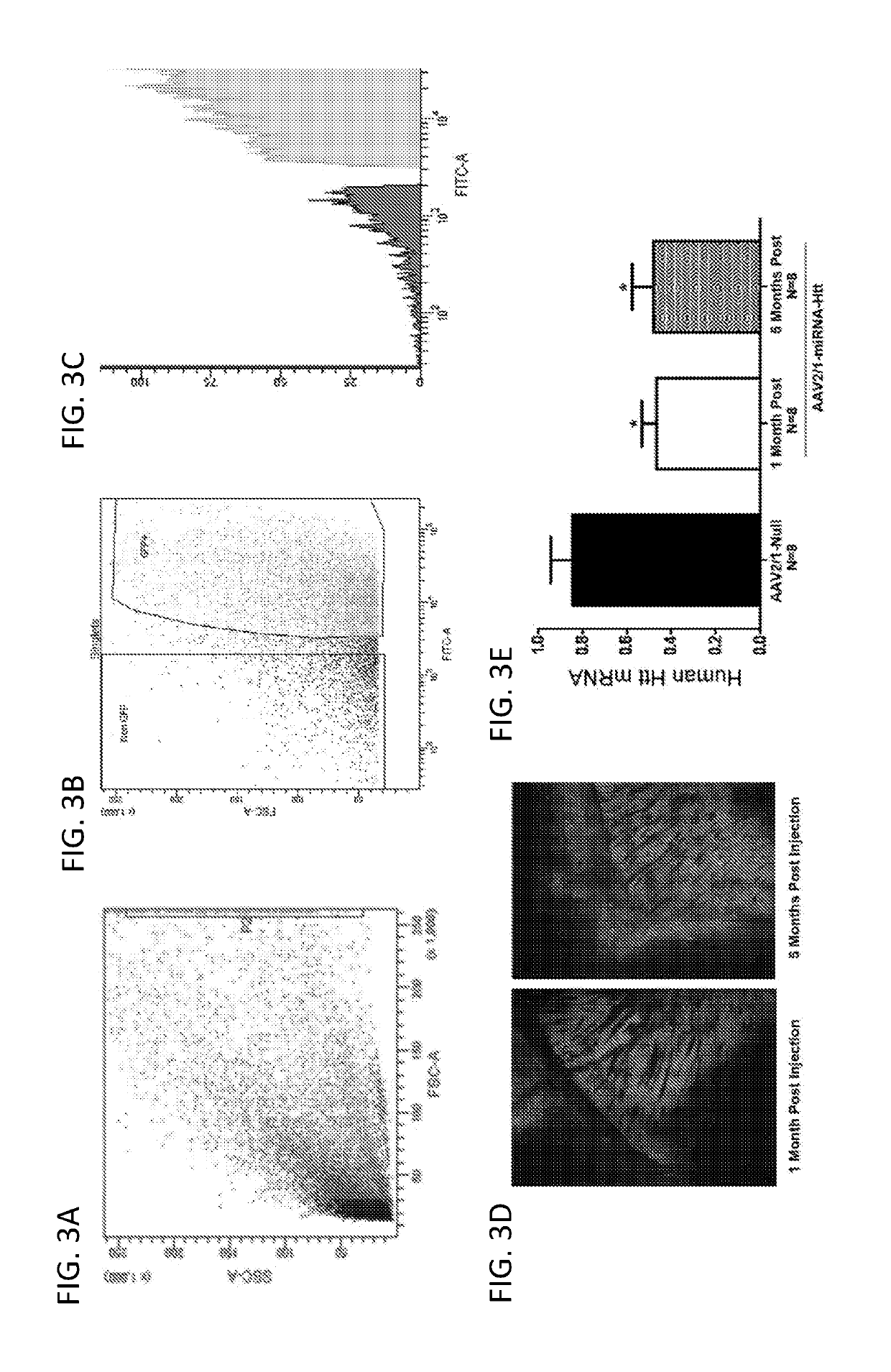 Variant RNAi