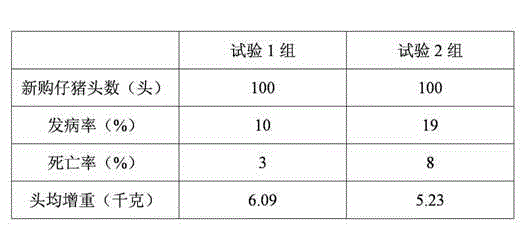 Traditional Chinese medicine composition for preventing piglet dysentery and preparation method thereof