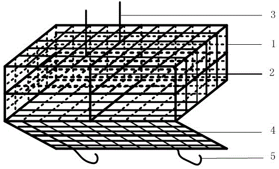 Culture method and device for high-grade oysters