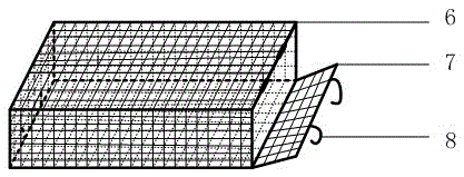 Culture method and device for high-grade oysters