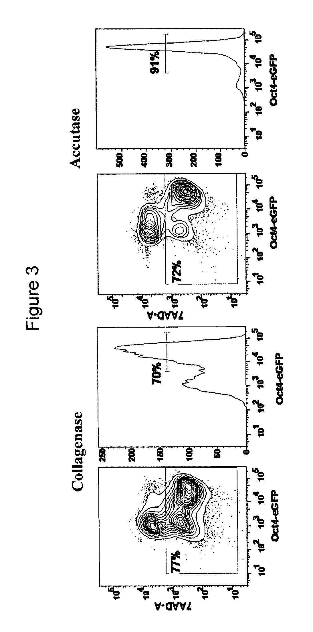 Methods for culture and production of single cell populations of human embryonic stem cells