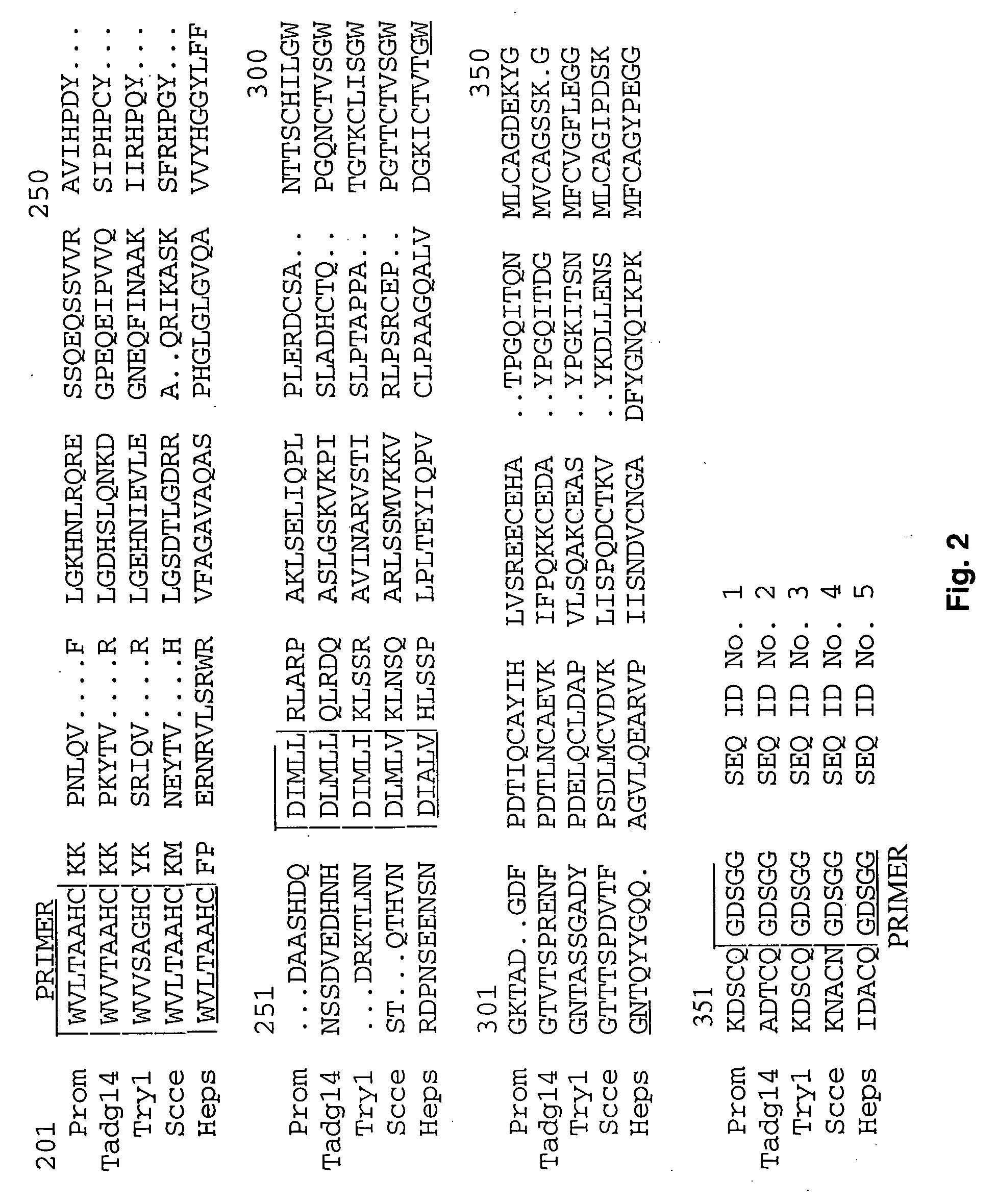 Extracellular serine protease