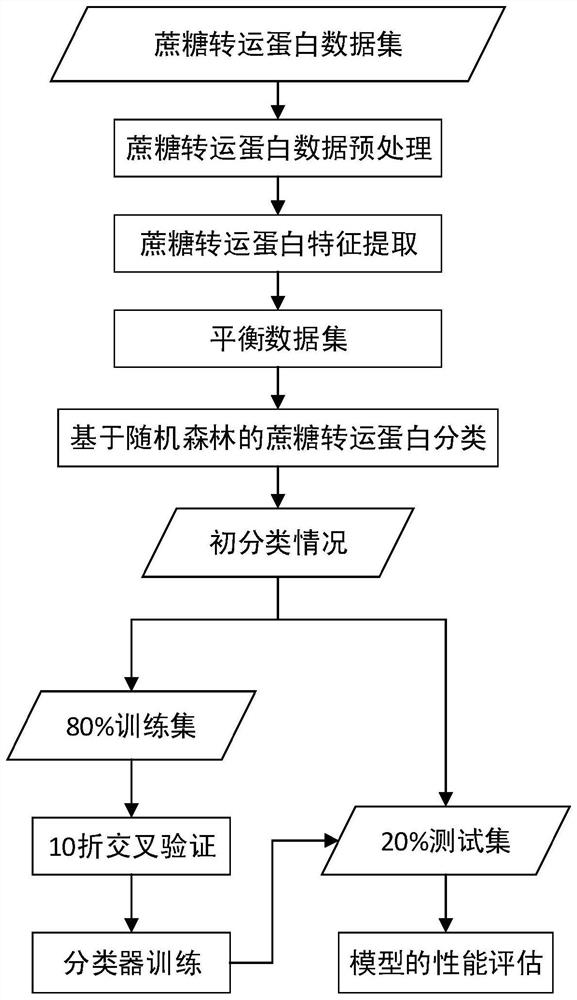 Random forest-based sucrose transporter identification method