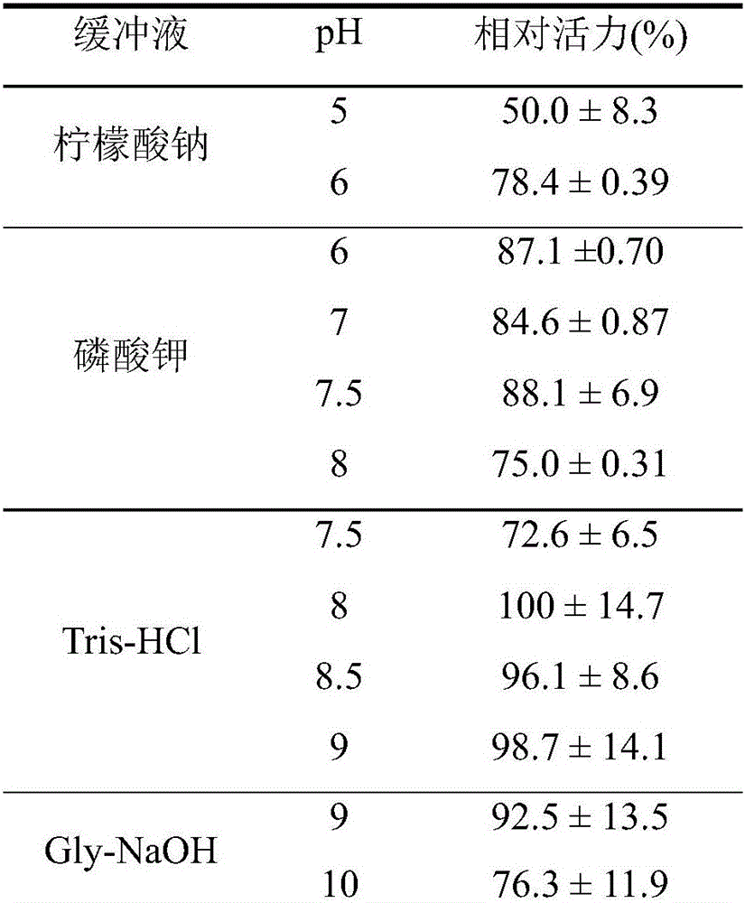 (-)-[gamma]-lactamase, gene, mutant, vector as well as preparation method and application of (-)-[gamma]-lactamase