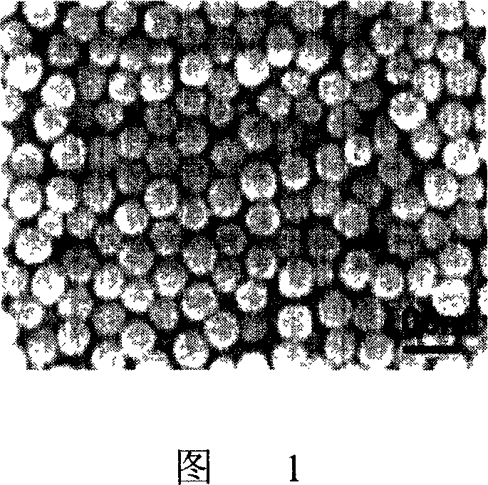 Prepn process of nanometer titania ring