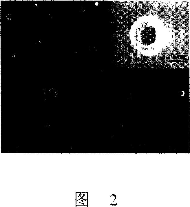 Prepn process of nanometer titania ring