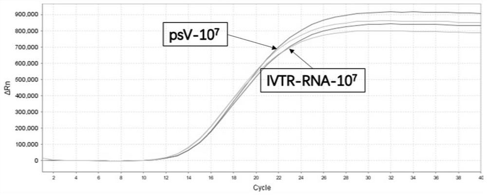 Preparation method of pseudovirus