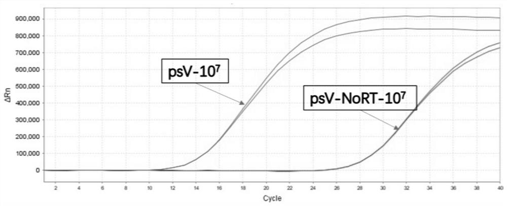 Preparation method of pseudovirus