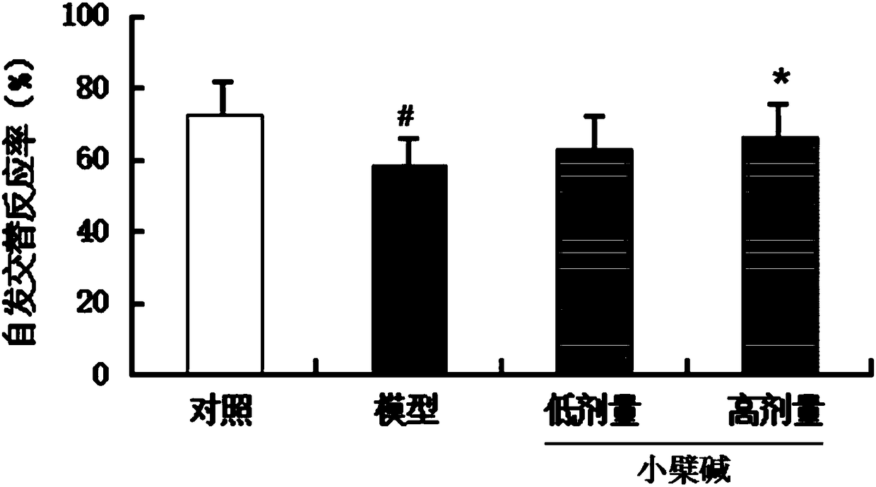 Medical application of BBR (berberine)