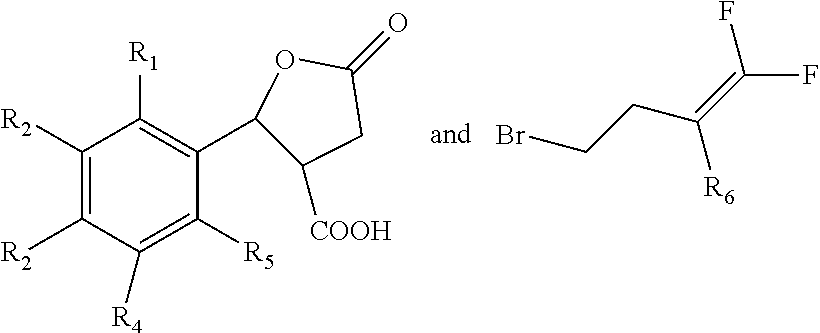 Nematocide containing lactonic ring and preparation method and application thereof