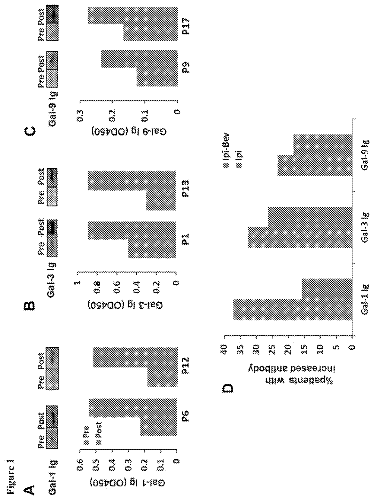 Anti-galectin antibody biomarkers predictive of anti-immune checkpoint and anti-angiogenesis responses