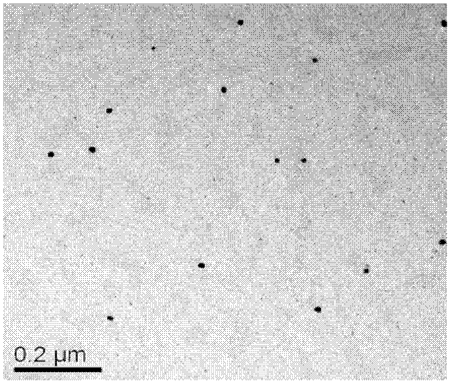 Detection method of mercury element