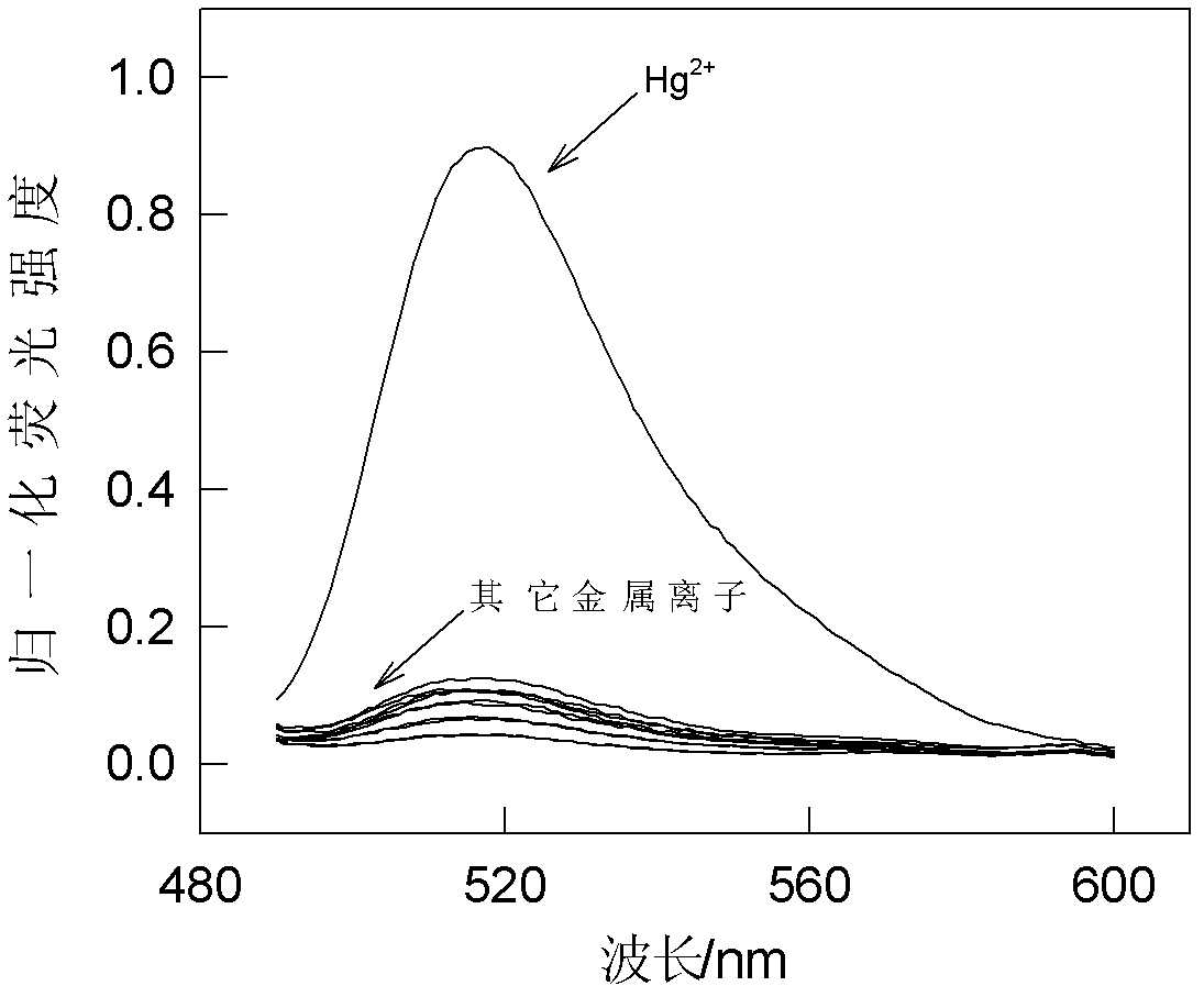 Detection method of mercury element