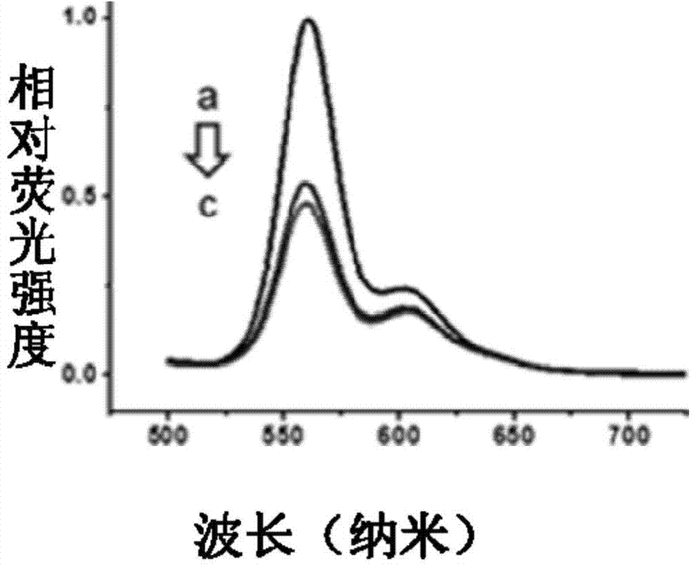 Method for marking protein polymer by using quantum dots