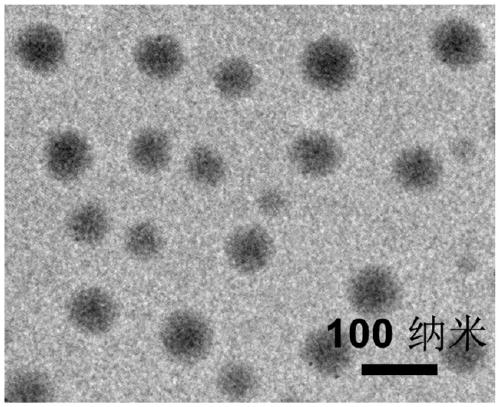 A nanomaterial for tumor diagnosis and treatment based on manganese and dopamine, its preparation method and application