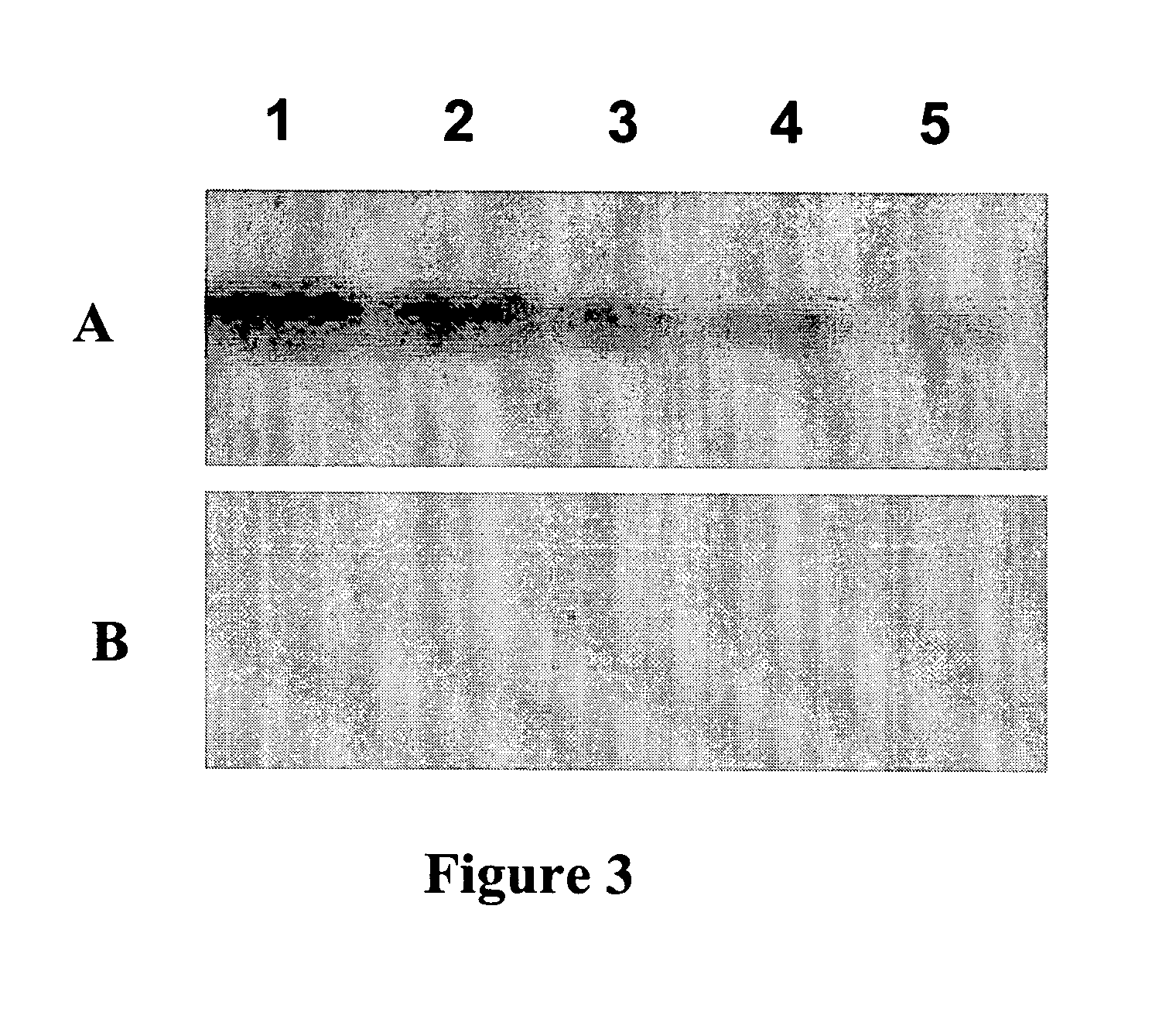 Devices and methods for profiling enzyme substrates