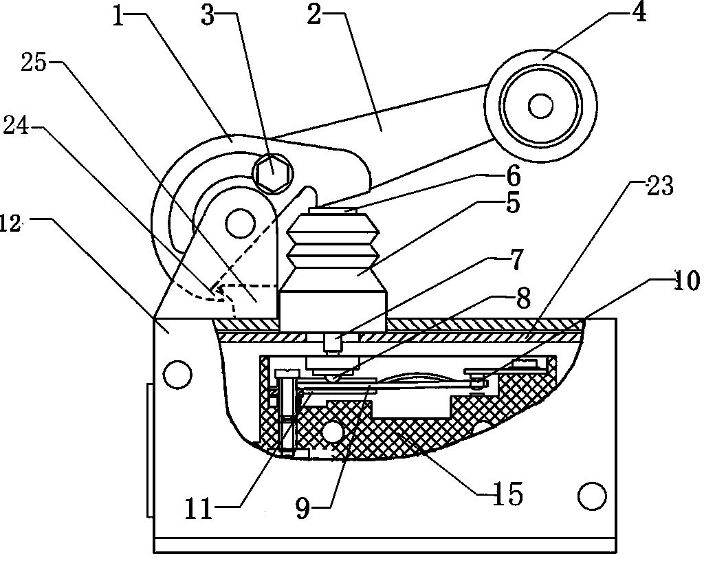 Power type microswitch