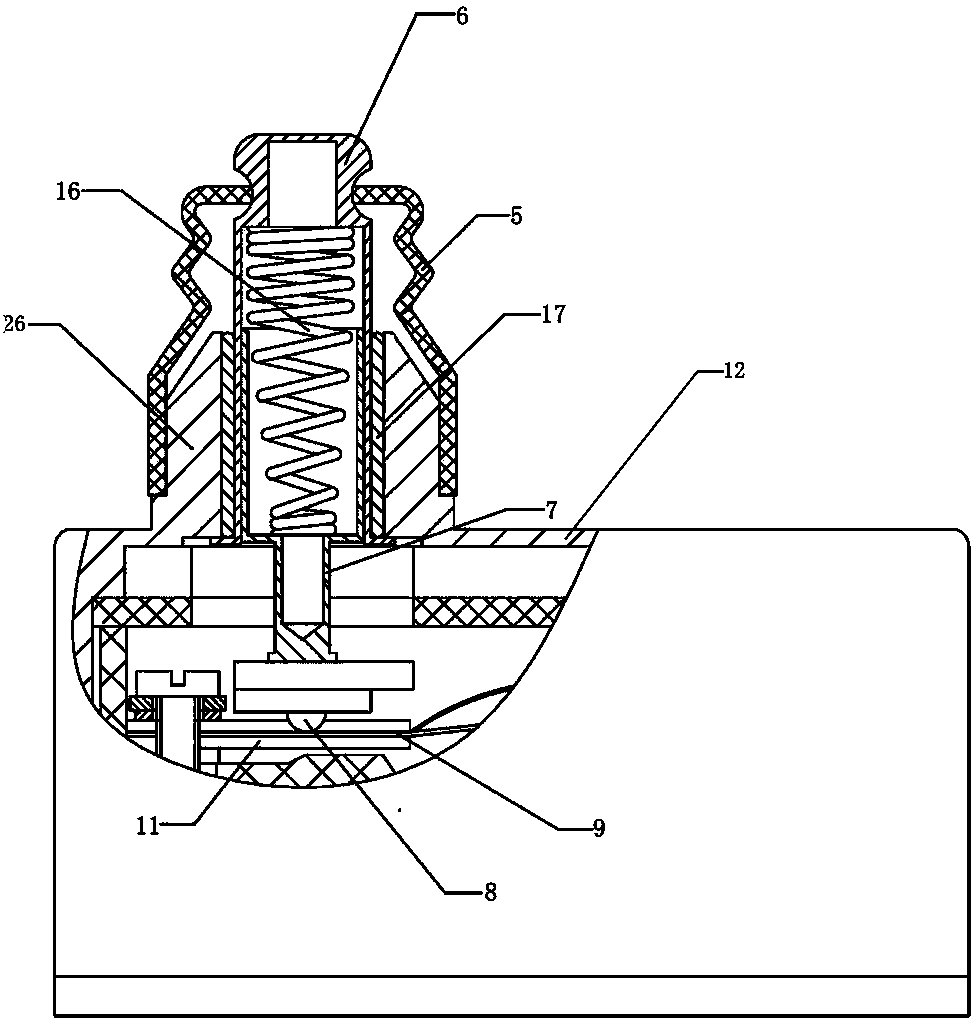 Power type microswitch