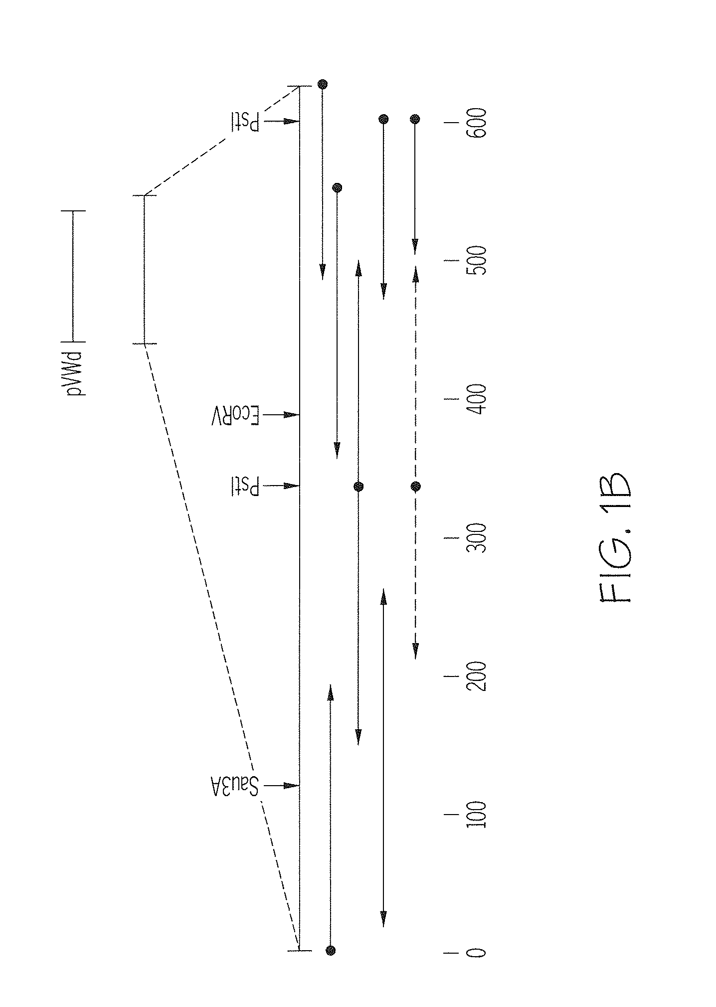 DNA encoding Von Willebrand Factor (VWF) and methods and cells for producing VFW, and VFW produced by the DNA, methods and cells