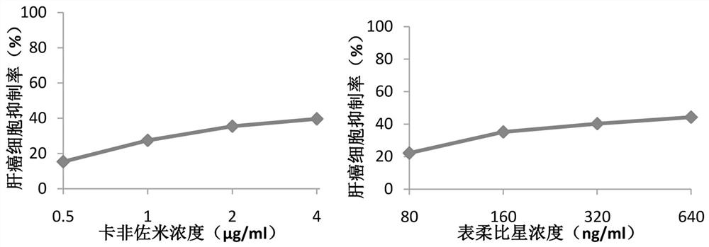 Application of carfilzomib and epirubicin combined medicine to preparation of medicine for treating liver cancer