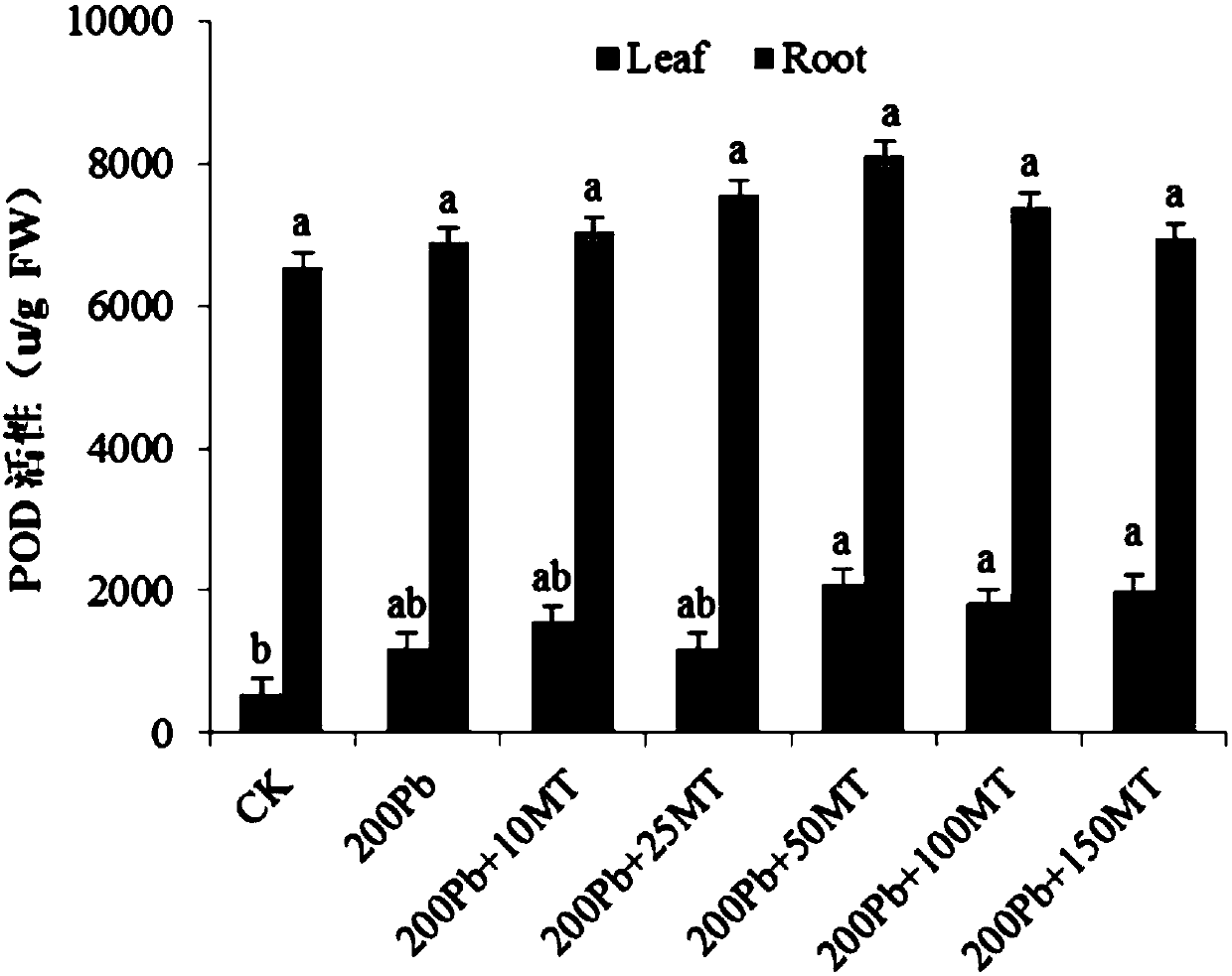 Method for utilizing melatonin to reduce Pb accumulation amount of vegetables