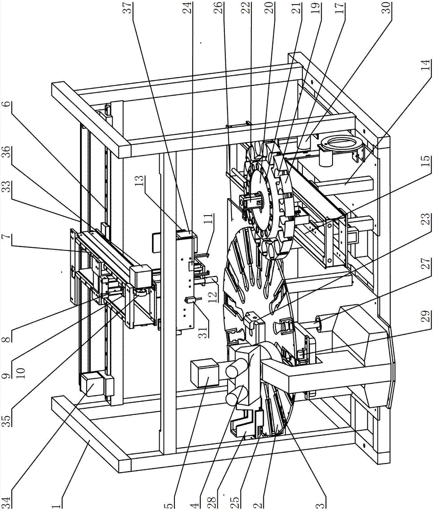 Fully automatic leucorrhea inspection analyzer