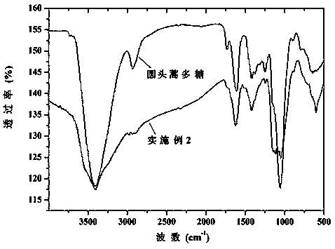 Method for synthesizing Artemisia sphaerocephala polysaccharide derivatives by adopting acidic ionic liquid as catalyst