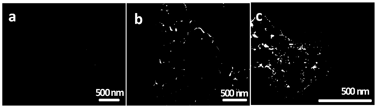 Cobaltous sulfide/ nitrogen-doped mesoporous carbon material, preparation method and application thereof