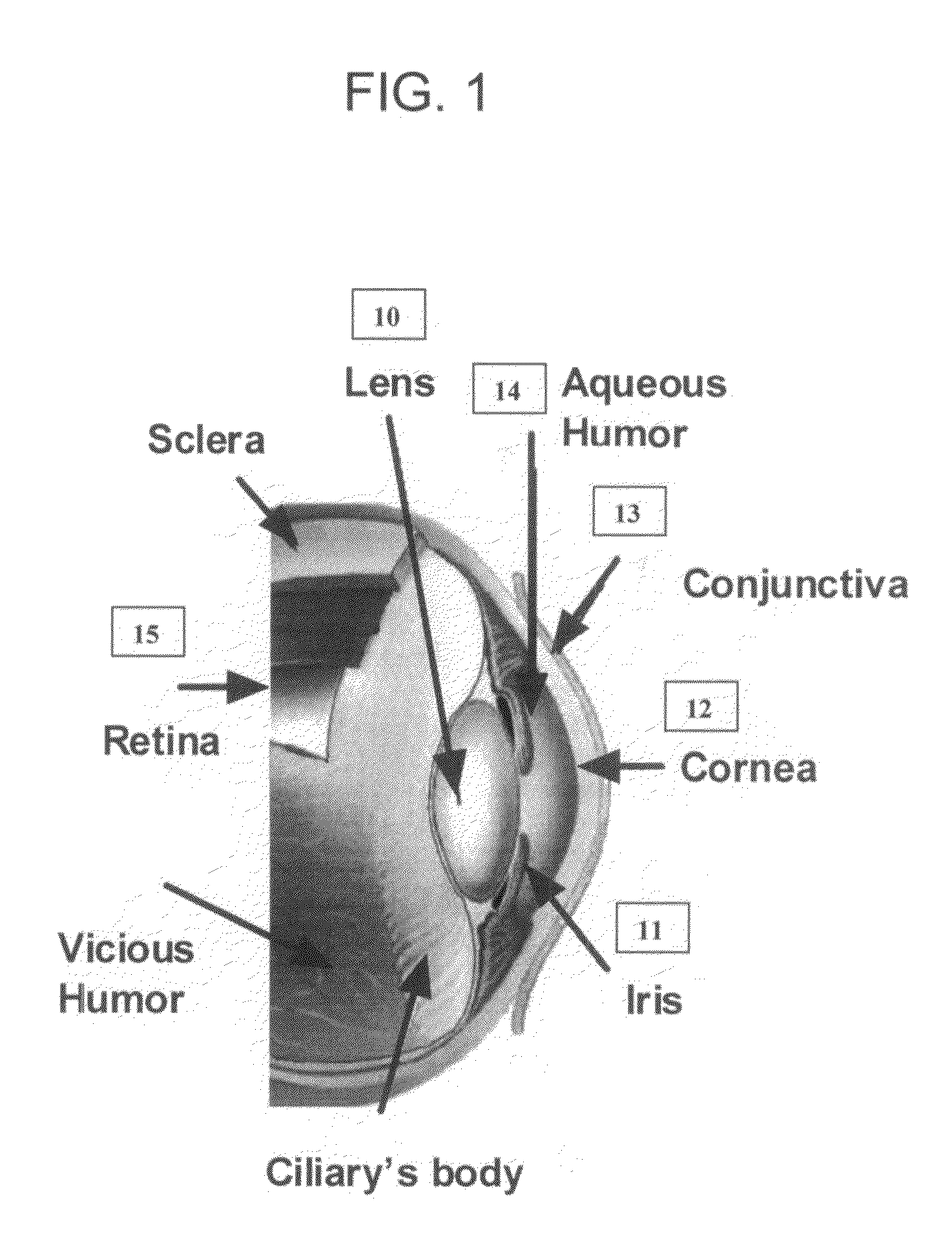 Method and apparatus for early diagnosis of Alzheimer's using non-invasive eye tomography by Terahertz