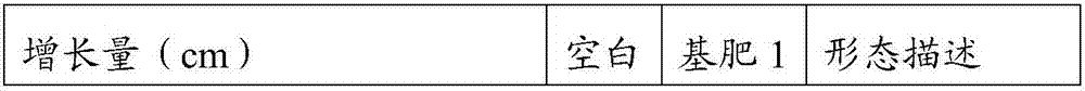 Special matrix for blueberries and preparation method thereof