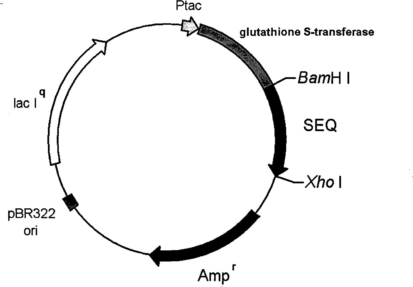 Recombined staphylococcus aureus enterotoxin Q oral preparation and application thereof