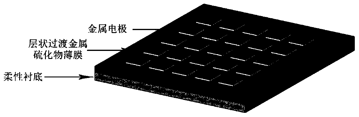 Flexible photoelectric detector based on layered transition metal sulfide and preparation method thereof