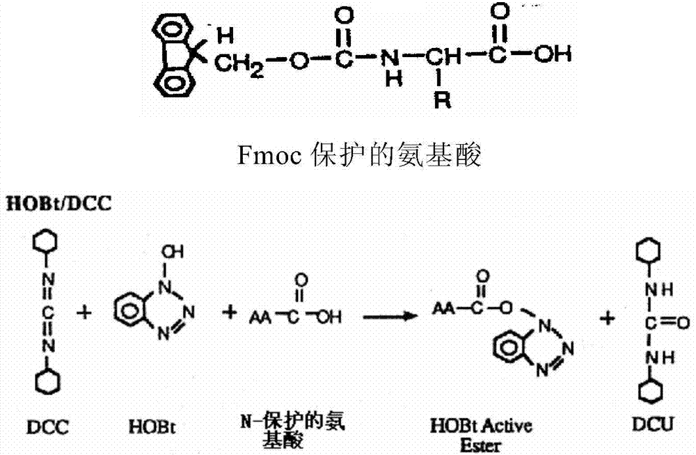 Fluorescent immunochromatographic test paper for detecting human hsp90α-2 protein and preparation method thereof