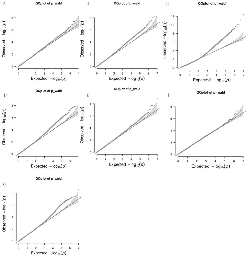 SNP molecular marker method and primers used in screening goose egg quality